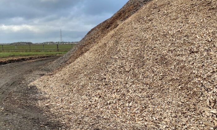 Caen la mer : comprendre la chaîne d’approvisionnement des futures chaufferies biomasse 